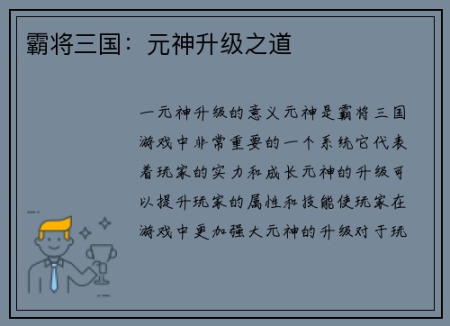 霸将三国：元神升级之道